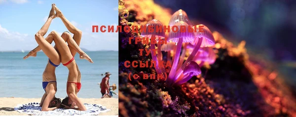 твердый Снежногорск