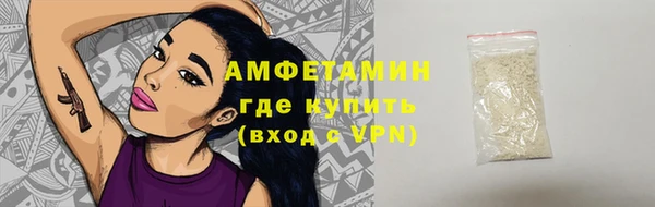 гашик Алексеевка