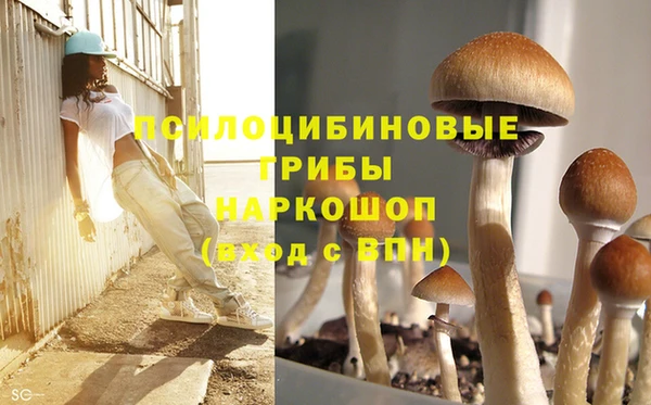 эйфоретик Алексин