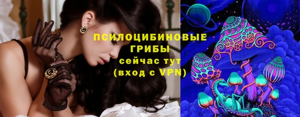 гашик Алексеевка