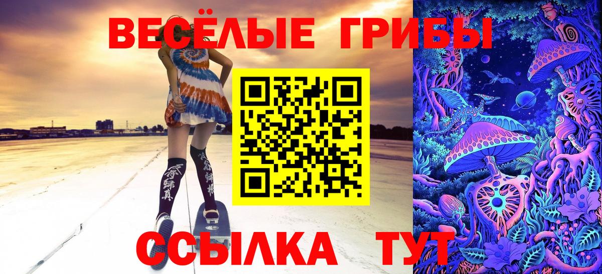 Гусь-Хрустальный  Псилоцибиновые грибы мицелий  Вход с VPN  Псилоцибиновые грибы MAGIC MUSHROOMS 