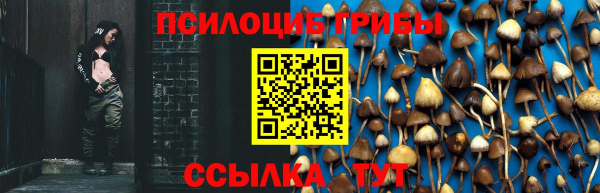 Галлюциногенные грибы мицелий Гусь-Хрустальный